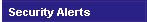 Security Alerts