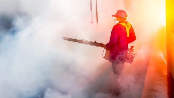 vector control in Papua New Guinea - International SOS 