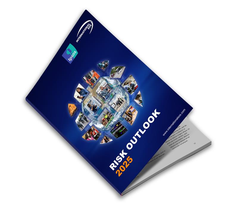 Risk Outlook Report 2025